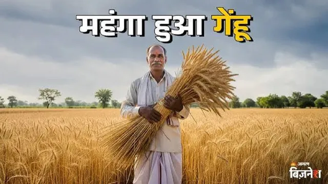 चीनी के बाद अब गेहूं की कीमतों में उछाल, एक महीने में ₹150 तक बढ़े दाम